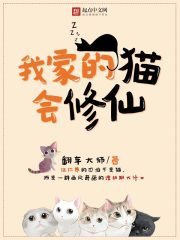 我家的猫会修仙